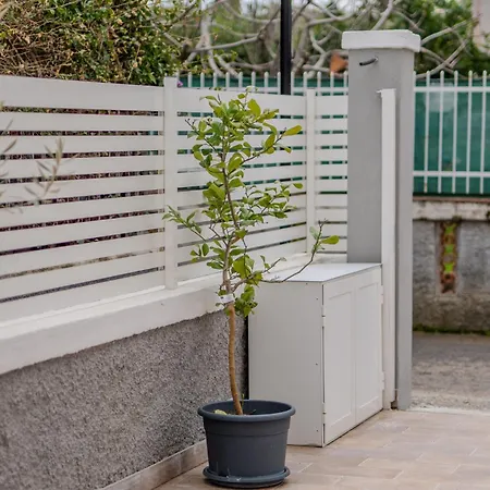 Villa Katia's Scalea