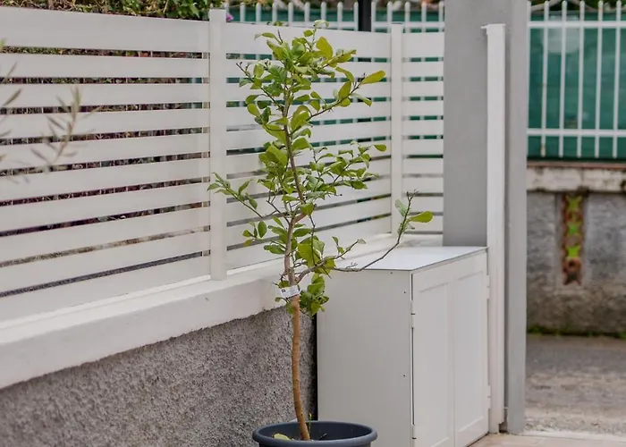 Villa Katia's Scalea